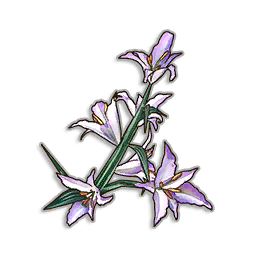 Twilight Lily