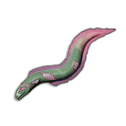 Raw Undead Eel