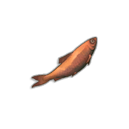 Fried Sardine