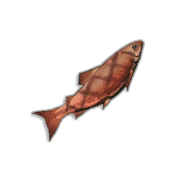 Grilled Trout