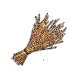 Wheat