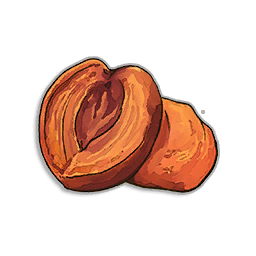 Dried Peach