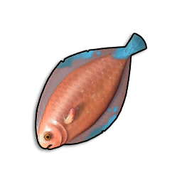 Pristine Desert Sole