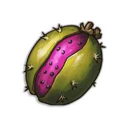 Pipe Cactus Seeds