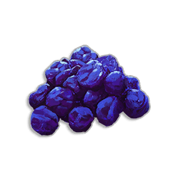Dried Dwellberries