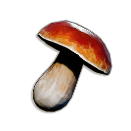 Bittercap Mushroom
