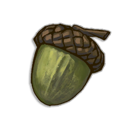 Oak Tree Seed