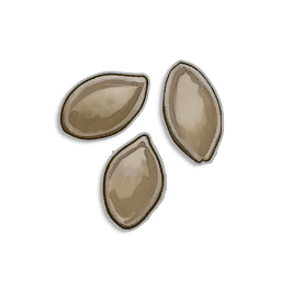 Pumpkin Seeds