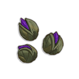 Snapdragon Seeds